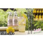 炭酸飲料 ボックス入り 八街生姜ジンジャーエールLIGHT