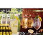 炭酸飲料 ボックス入り 八街生姜ジンジャーエール