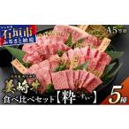 牛肉 石垣島の恵み 美崎牛 厳選5種 焼肉食べ比べセット