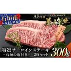 牛肉 サーロイン 美崎牛 サーロインステーキ 150g×2枚