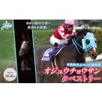 オジュウチョウサン タペストリー 馬 競馬