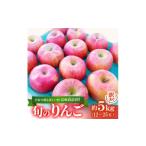 ふるさと納税 りんご 長野県 高山村  2026年先行受付 日本で最も美しい村ー信州高山村ー　旬のりんご約5kg入り 訳あり品 1696077