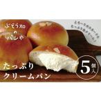 パン 菓子パン クリームパン 5個入り