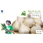 fu.... налог овощи вид приправа Aomori префектура рисовое поле . блок Япония один бренд ... чеснок M размер 20 шар ( Aomori префектура рисовое поле . блок производство чеснок )