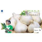 fu.... налог овощи вид приправа Aomori префектура рисовое поле . блок Япония один бренд ... чеснок L размер 7 шар ( Aomori префектура рисовое поле . блок производство чеснок )