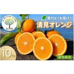 みかん 柑橘類 オレンジ 2027 5 6まで