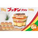 Bigプッチンプリン 160g×6個