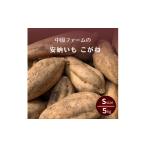 野菜類 サツマイモ 種子島 安納いも こがね