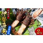 魚貝類 訳あり 伊勢海老 冷凍 2kg