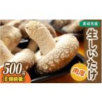しいたけ 産生しいたけ 500g