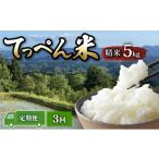 玄米 新米 令和8年産 こしひかり 定期便 5kg