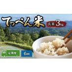 玄米 新米 こしひかり 令和8年産 3kg
