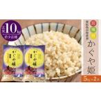 玄米 令和7年産 超稀少品種 かぐや姫 10kg