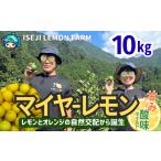 果物類 マイヤーレモン 10Kg