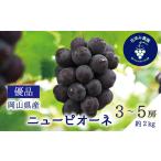 ぶどう 岡山 花笑み農園のニューピオーネ
