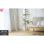 電化製品 充電式紙パックスティッククリーナー
