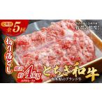 牛肉 定期便5回 とちぎ和牛の切り落とし 800g