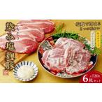 豚肉 ロース 塩麹豚 6枚セット 美食探訪 ごちそう染み塩麹…