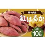 野菜類 サツマイモ R8年熊本地震復興支援
