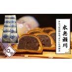 菓子 羊羹 水無瀬川 10コ 和菓子 焼き菓子