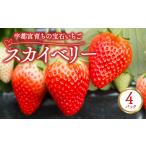 ショッピングふるさと納税 いちご ふるさと納税 いちご 栃木県 宇都宮市 宇都宮育ちの宝石いちご「スカイベリー」 4パック | 苺 イチゴ 果物 フルーツ 栃木県 宇都宮市 2025年12月中旬〜2026年3…