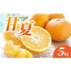 みかん 柑橘類 甘夏 5kg