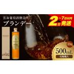 お酒 2~7日以内に発送予定 雲海葡萄酒醸造所