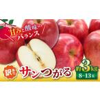 ふるさと納税 りんご 長野県 松川村  2026年先行予約 訳あり サンつがる 約3kg ｜ 浅野農園 リンゴ りんご 林檎 果物 くだもの フルーツ 果実 果汁サンつがる …