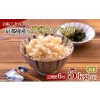 ふるさと納税 玄米 京都府 -  令和7年産 定期便 全6回 京都府産 丹後コシヒカリ 玄米 5kg お米 5キロ 米 こめ 国産 ブランド米 取り寄せ 京都 ごはん コシヒカ…