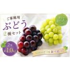 ぶどう マスカット 2026年 訳あり NISSHOKU FARM ご ぶどう2種セット