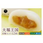和菓子 もち菓子 もち米 ヒメノモチ でつくった大福