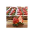 ふるさと納税 いちご 埼玉県 上里町 埼玉県限定品種あまりん 約500g 1687064