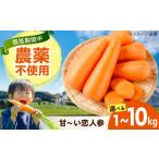 野菜類 人参 3kg