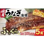うなぎ 備長炭地焼き蒲焼き180g以上×3尾