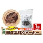 肉 黒豚ジャーキー 無添加 40g×1袋