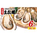 ふるさと納税 牡蠣 生牡蠣 岩手県 大船渡市 訳あり 生食 殻付き 牡蠣 6kg(3kg×2) かき カキ kaki 牡蠣 冷凍 岩手県産 殻付き牡蠣 生食 訳あり わけあり 大き…