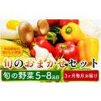 セット 詰合せ 農家直送 野菜詰め合わせ 5~8品目