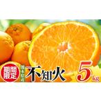 みかん 柑橘類 秀品 不知火 5kg