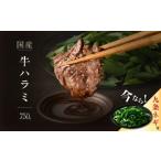 牛肉 焼肉 バーベキュー 今だけ 九条ネギ付き