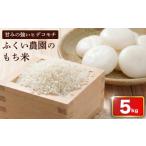 ふるさと納税 米・パン もち米 高知県 宿毛市  令和7年産米 もち米 5kg 順次発送 もち米5kg順次発送(12,000円)
