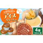 菓子 アイス 三毛門 かぼちゃ アイスクリーム 100ml×4個