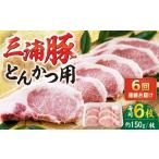 三浦豚 豚肉 ロース900g ステーキ とんかつ用