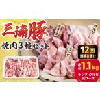 豪華 三浦豚 1.1kg