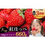 ふるさと納税 いちご 静岡県 牧之原市  1~4月発送 紅ほっぺ 660g いちご 330g×2パック 農倖いちごボックス イチゴ 冷蔵発送 苺 土耕栽培 フルーツ 果物 スイ…