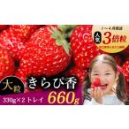 いちご 1~ きらぴ香 660g以上
