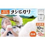 ふるさと納税 米 コシヒカリ 福井県 坂井市  先行予約 令和8年産・新米 定期便 12ヶ月連続お届け 坂井市産 コシヒカリ 白米 10kg (5kg×2袋)×12回 計120kg (…