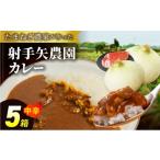 惣菜・レトルト 常温 別送 即時交換 泉佐野市　ふるさと納税 惣菜・レトルト 大阪府 泉佐野市 射手矢農園 特製カレー 5箱セット 本格スパイス たまねぎ なにわ黒牛 時短 冷凍カレー 冷凍食品 保存食 常備食 …