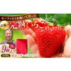 完熟いちごのつ農園 福富アダージョベリー