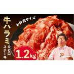 ふるさと納税 牛肉 ホルモン 大阪府 泉佐野市  お弁当サイズ 牛ハラミ ひと口ステーキ 1.2kg 氷温熟成×旨味付け 小分け 400g×3P 味付き 訳あり 不揃い バラ…