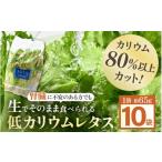 セット 詰合せ 機能性×美味しさ 低カリウム水耕レタス